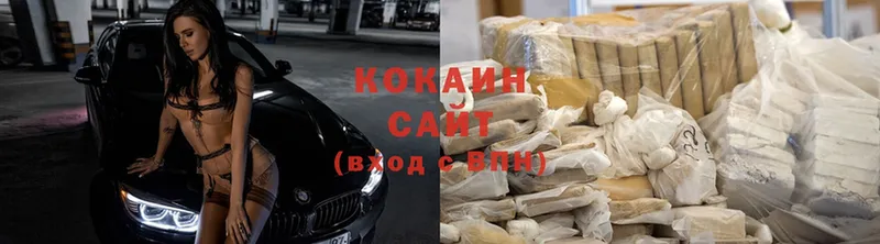 закладки  Нестеров  кракен ССЫЛКА  COCAIN Fish Scale 