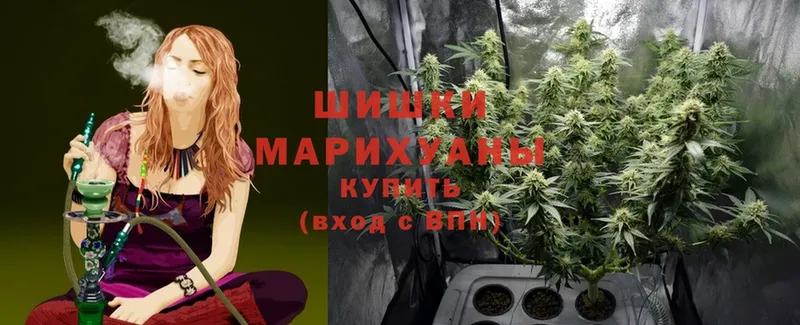 продажа наркотиков  Нестеров  ОМГ ОМГ сайт  Канабис SATIVA & INDICA 